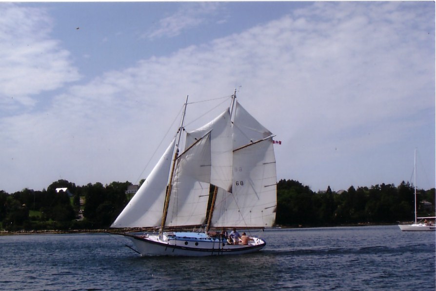 【新品】Schooner スクーナー　5.9 Why is a Schooner? - Zartman Cruising